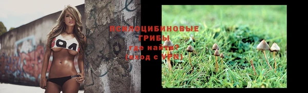 а пвп мука Лагань