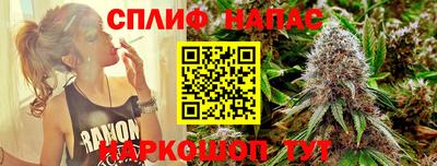 PSILOCYBIN Гусиноозёрск