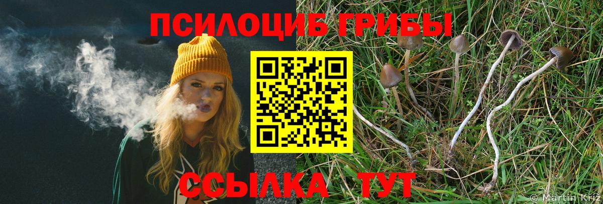 Кокаин  ГЕРОИН  Гашик  Марки  Масло ТГК  Сорочинск  Плюхи  Меф  Alpha PVP  Вход с VPN 