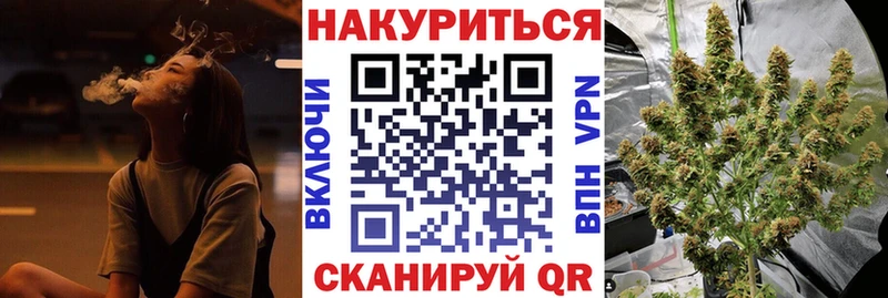 продажа наркотиков  Сорочинск  Бошки марихуана марихуана 